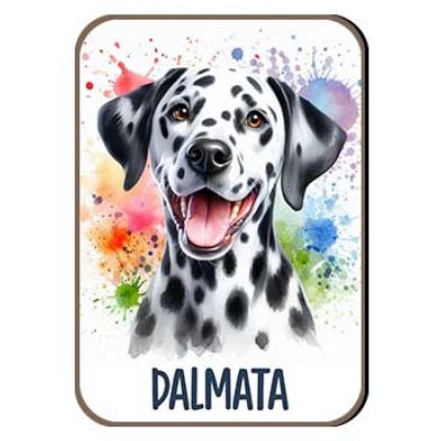 Kutyas Hutomagens 026 Dalmata
