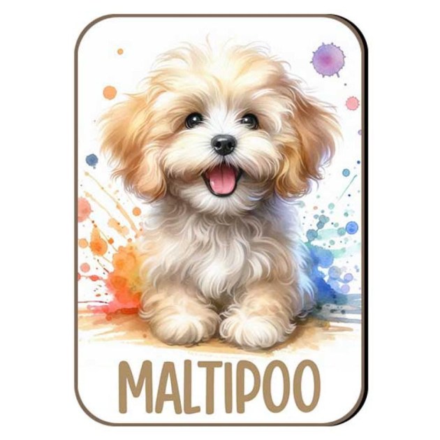 Kutyas Hutomagens 040 Maltipoo Vilagos