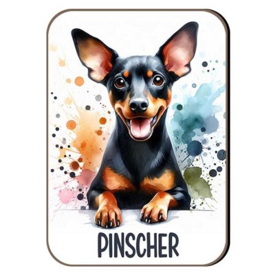 Kutyas Hutomagens 047 Pinscher