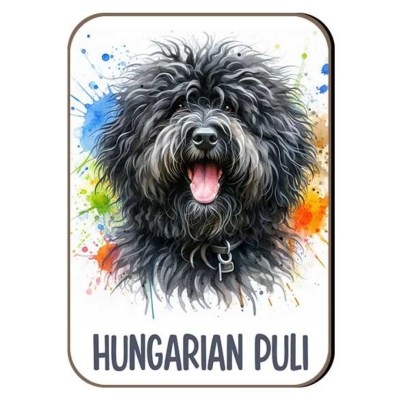 Kutyas Hutomagens 053 Hungarian Puli