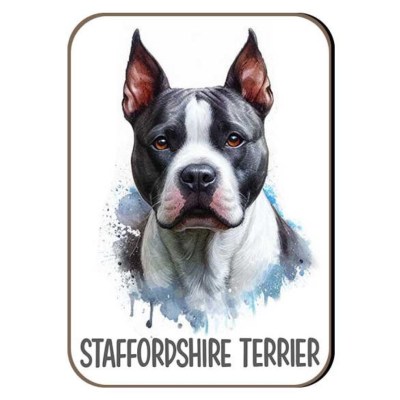 Kutyas Hutomagens 062 Staffordshire Terrier Szurke Feher Allo Fulu