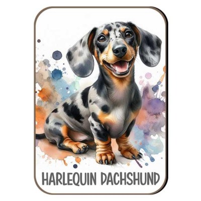 Kutyas Hutomagens 065 Harlequin Dachshund Tacsko