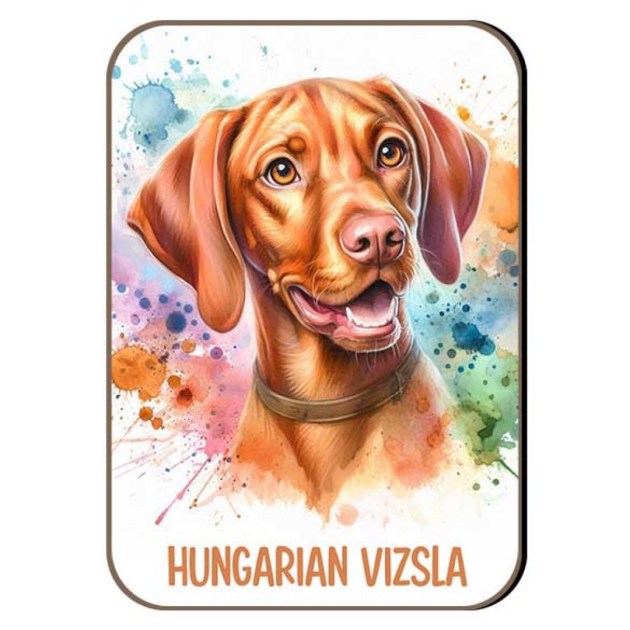 Kutyas Hutomagens 066 Hungarian Vizsla