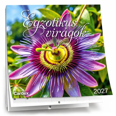 Naptar Fali 2027 Exotikus Viragok