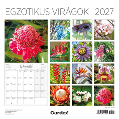 Naptar Fali 2027 Exotikus Viragok 02