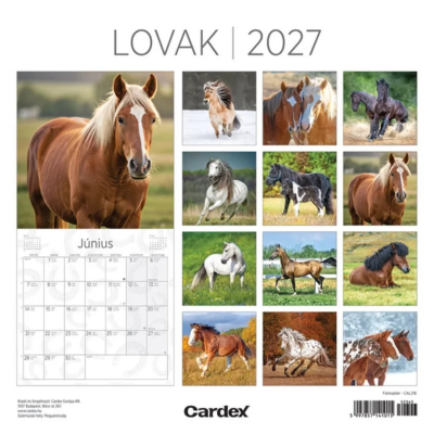 Naptar Fali 2027 Lovak 02