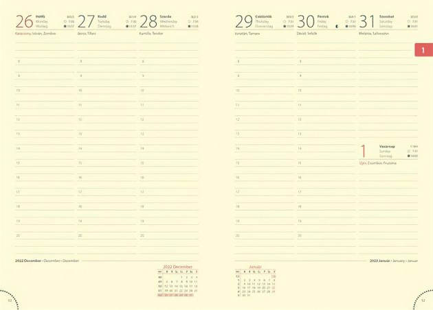 NMPHP 1 Gigapixel Scale 2 00x