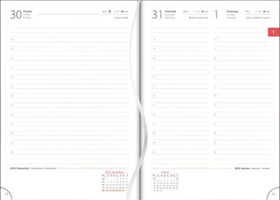 NPA5SK 1(1) Gigapixel Scale 2 00x