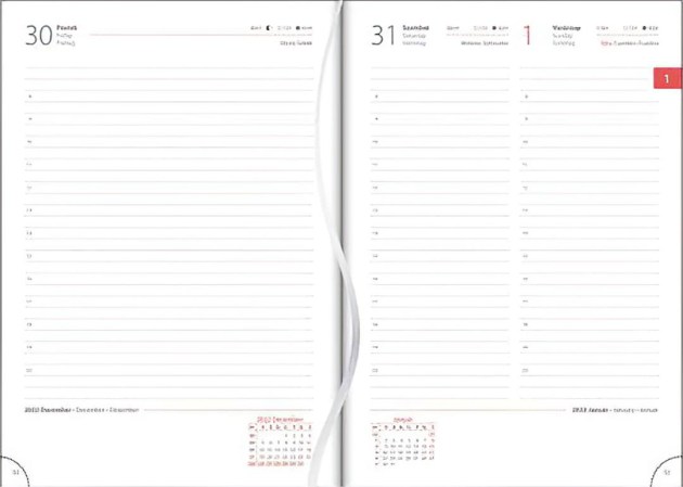 NPA5SK 1(1) Gigapixel Scale 2 00x