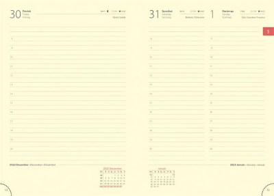NRA5AN 1 Gigapixel Scale 2 00x