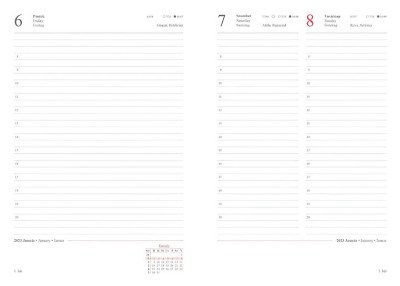 NVA5R 1 Gigapixel Scale 2 00x