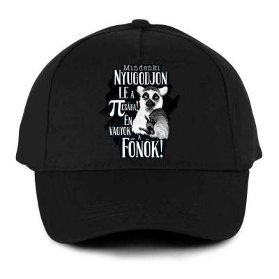 Vicces Baseball Sapka Bs038 Mindenki Nyugodjin Le Fonok Fekete