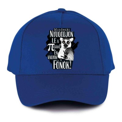 Vicces Baseball Sapka Bs038 Mindenki Nyugodjin Le Fonok Kek