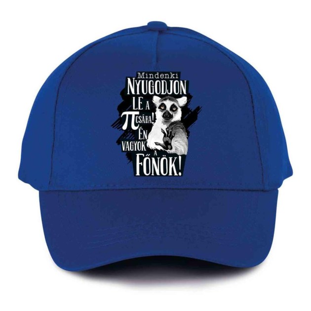 Vicces Baseball Sapka Bs038 Mindenki Nyugodjin Le Fonok Kek