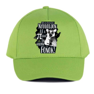 Vicces Baseball Sapka Bs038 Mindenki Nyugodjin Le Fonok Lime