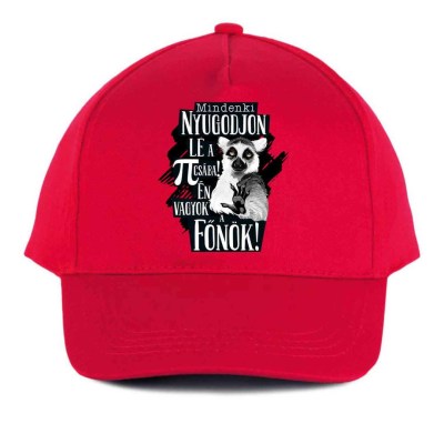 Vicces Baseball Sapka Bs038 Mindenki Nyugodjin Le Fonok Piros