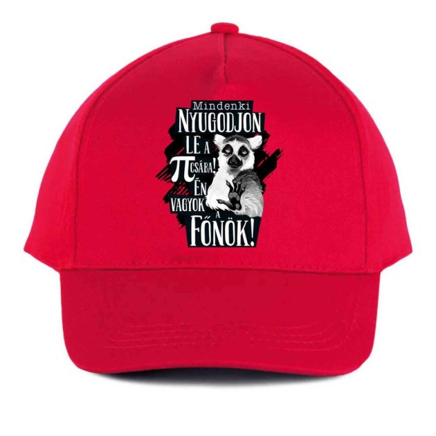 Vicces Baseball Sapka Bs038 Mindenki Nyugodjin Le Fonok Piros