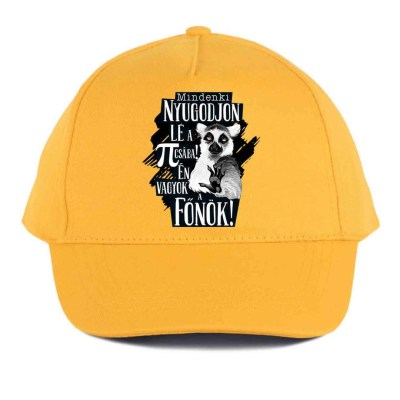 Vicces Baseball Sapka Bs038 Mindenki Nyugodjin Le Fonok Sarga