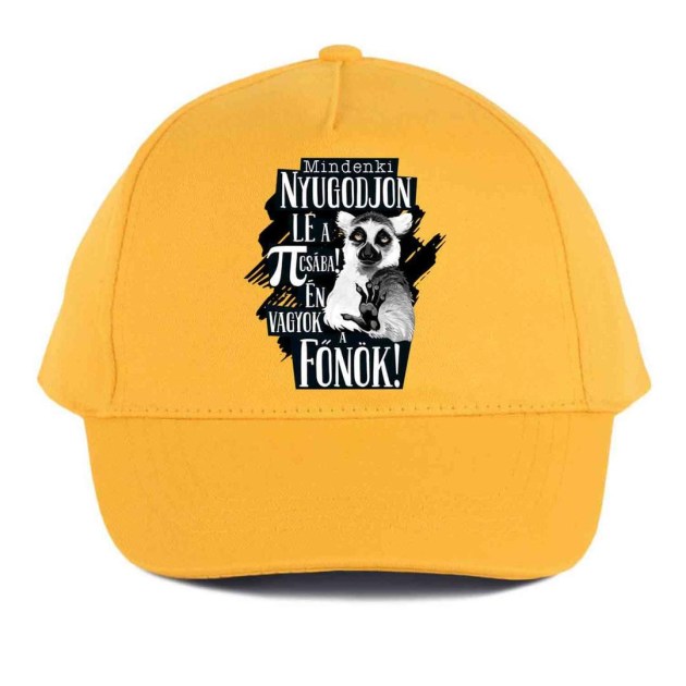 Vicces Baseball Sapka Bs038 Mindenki Nyugodjin Le Fonok Sarga