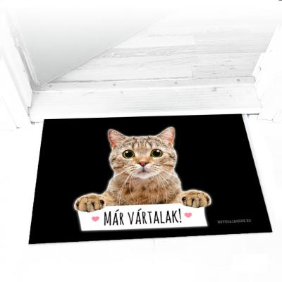 Vicces Labtorlo La098 Cicas Ajandek Labtorlo