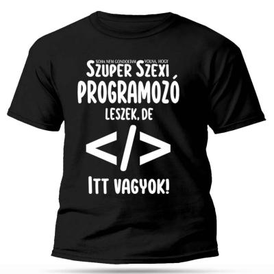 Vicces Polok Szexi Programozo Polo Programozonak Ajandek Px141 Fekete