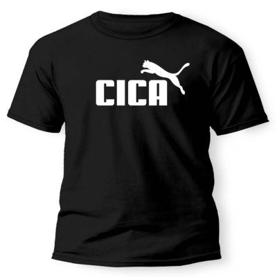 Vicces Polo Ferfiaknak Noknek Humoros Feliratu Polo Cica